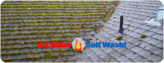 Hot Water Soft Wash Pressure Washing for Asphalt Roofs to Remove Moss